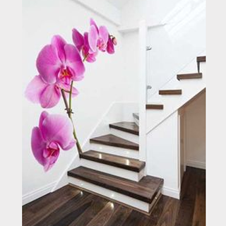   Digitally Printed Wall Decals